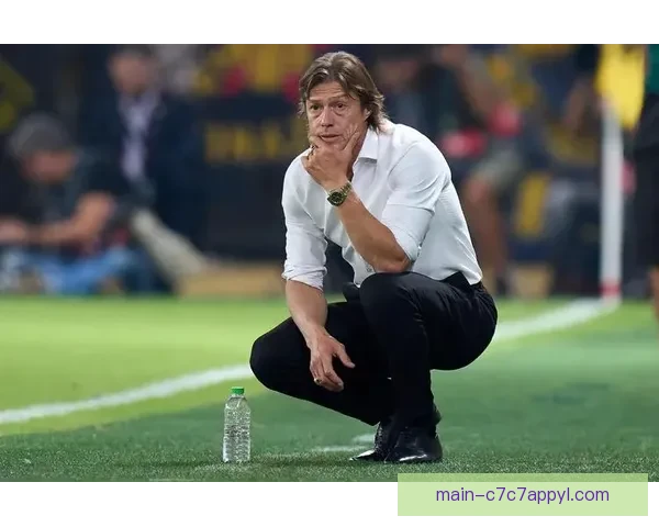 塞维利亚主帅阿尔梅达禁赛七场